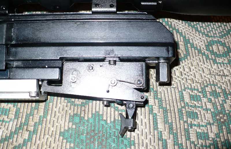 800 x 515