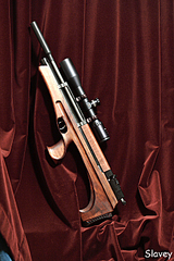 click for enlarge 460 X 690 338,8 Kb picture