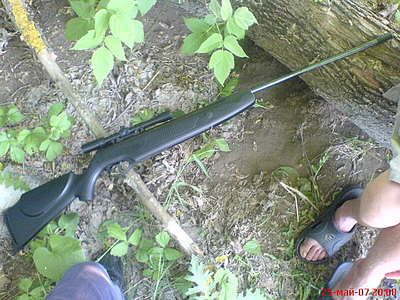 click for enlarge 640 X 480 111.3 Kb picture