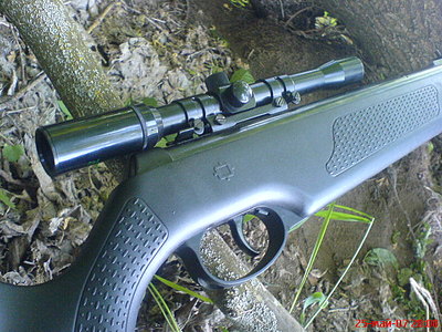 click for enlarge 640 X 480 99.2 Kb picture