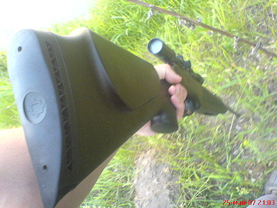 click for enlarge 640 X 480 71.0 Kb picture