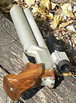 click for enlarge 737 X 1000 326,1 Kb picture