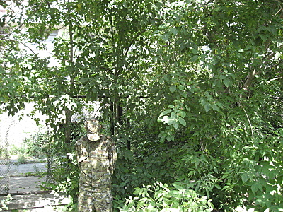 click for enlarge 800 X 600 427,2 Kb picture