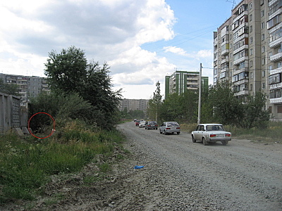 click for enlarge 800 X 600 268,3 Kb picture