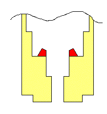 219 x 232