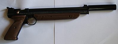 click for enlarge 853 X 317 31,8 Kb picture