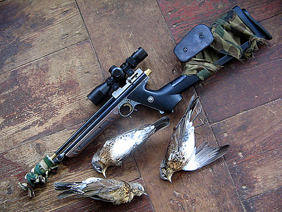 click for enlarge 600 X 450 381,6 Kb picture