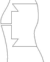 click for enlarge 267 X 329  7,0 Kb picture
