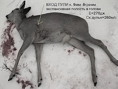 �������, ��� �� ��������� �������� �� 909 X 682 88.3 Kb