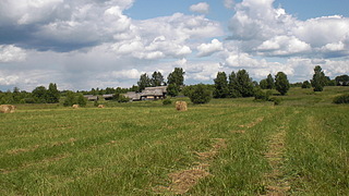 click for enlarge 1920 X 1080 736,0 Kb picture