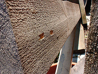 click for enlarge 922 X 691 229,8 Kb picture