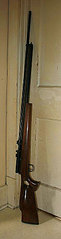 click for enlarge 226 X 884 24,4 Kb picture