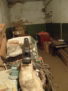 click for enlarge 768 X 1024 327,8 Kb picture