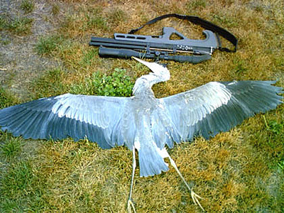 click for enlarge 420 X 315  50.0 Kb picture