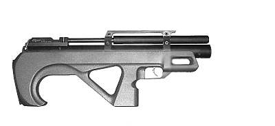 click for enlarge 800 X 366  38.8 Kb picture