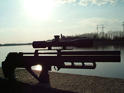 click for enlarge 800 X 600 113.6 Kb picture