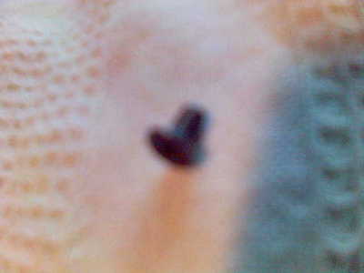 click for enlarge 640 X 480  15.1 Kb picture
