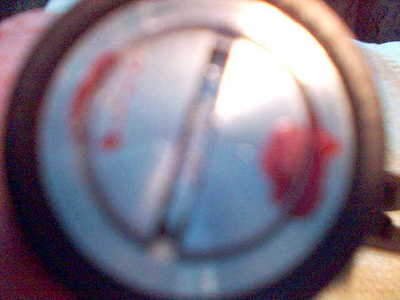click for enlarge 640 X 480  22.5 Kb picture