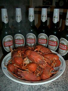 click for enlarge 360 X 480  46.2 Kb picture