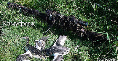 click for enlarge 410 X 213  44.7 Kb picture