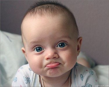 click for enlarge 600 X 480  29.7 Kb picture