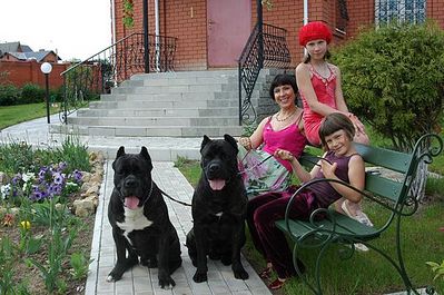 click for enlarge 604 X 401  75.7 Kb picture