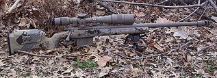 click for enlarge 1024 X 367 183,5 Kb picture