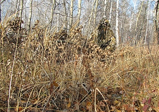 click for enlarge 859 X 608 460,2 Kb picture