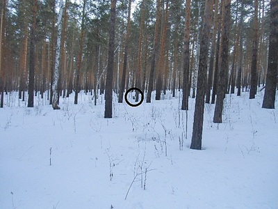 click for enlarge 640 X 480 118.0 Kb picture