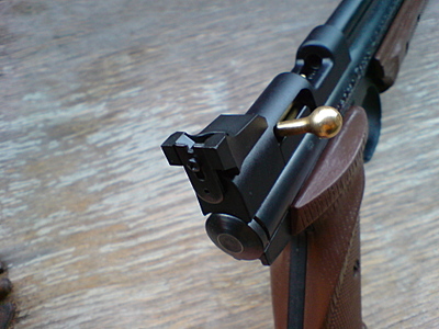 click for enlarge 1920 X 1440 781,9 Kb picture