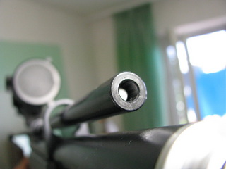 click for enlarge 1024 X 768 177,7 Kb picture