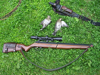 click for enlarge 1920 X 1440 797,4 Kb picture