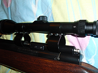 click for enlarge 640 X 480 251,5 Kb picture