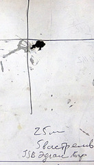 click for enlarge 457 X 800 71,7 Kb picture