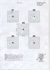 click for enlarge 1920 X 2642 561.1 Kb picture