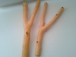 click for enlarge 1920 X 1440 631.9 Kb picture