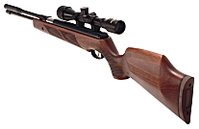 click for enlarge 825 X 533 67.7 Kb picture