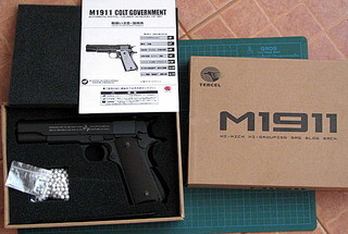 click for enlarge 531 X 357  65,8 Kb picture