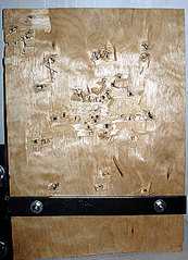 click for enlarge 501 X 694 117,3 Kb picture