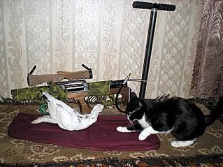 click for enlarge 653 X 490  78,9 Kb picture