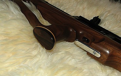 click for enlarge 500 X 315 39,9 Kb picture