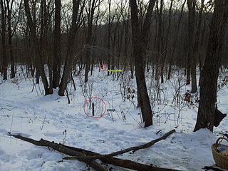 click for enlarge 1024 X 768 338,2 Kb picture
