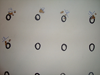 click for enlarge 640 X 480 104,6 Kb picture