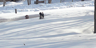 click for enlarge 1920 X 968 413,5 Kb picture