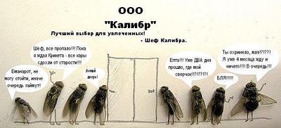click for enlarge 600 X 273  34,4 Kb picture
