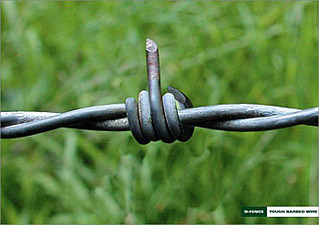 click for enlarge 700 X 494  71,2 Kb picture