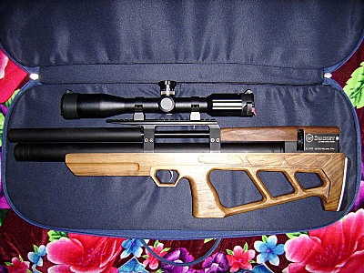 click for enlarge 800 X 600 106,2 Kb picture