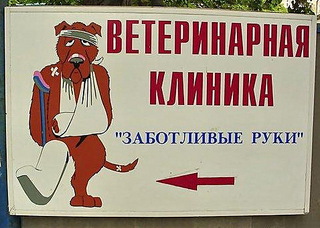 click for enlarge 478 X 341 68,1 Kb picture