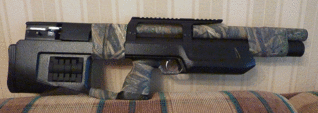 click for enlarge 1276 X 453 282,9 Kb picture