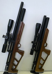 click for enlarge 850 X 1219 261,4 Kb picture